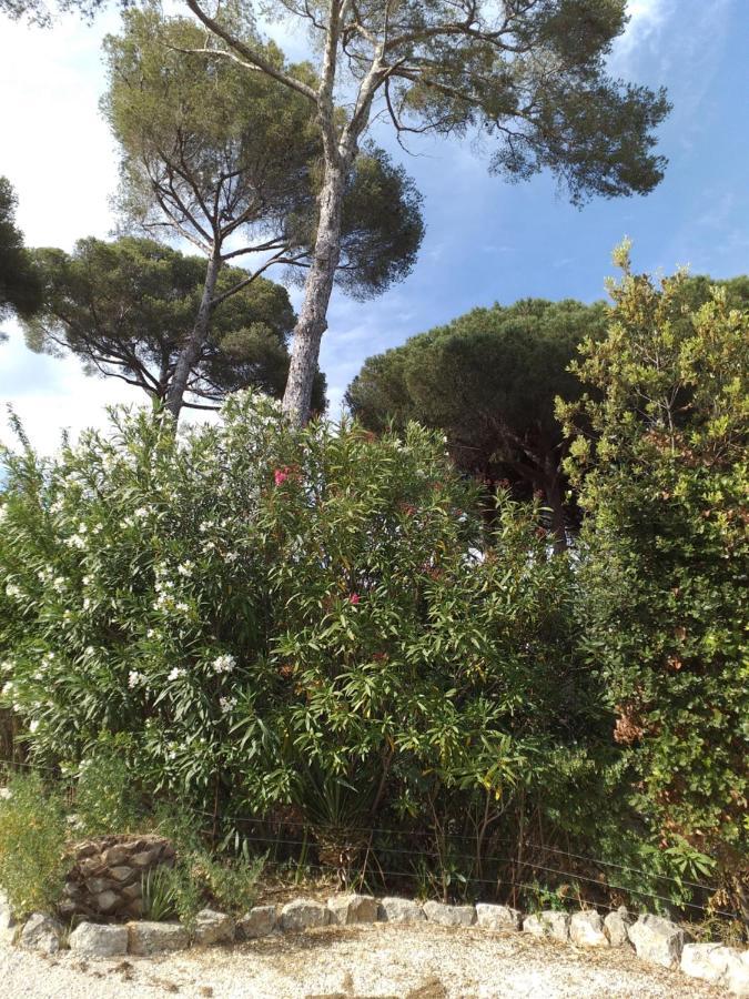 Villa Mediterranea Les Issambres Buitenkant foto