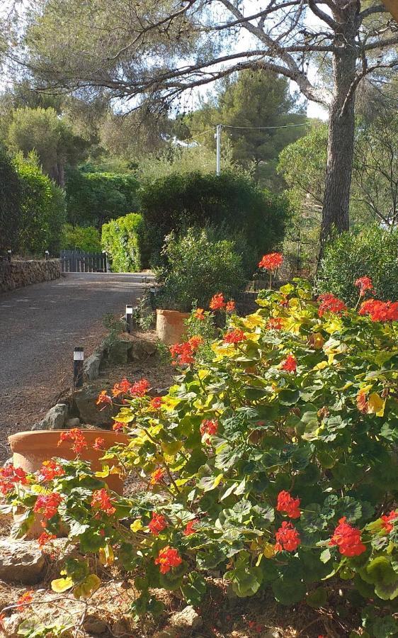 Villa Mediterranea Les Issambres Buitenkant foto