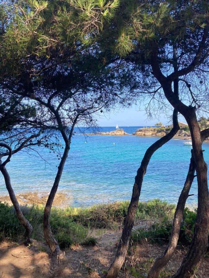 Villa Mediterranea Les Issambres Buitenkant foto